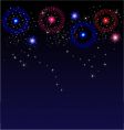Fireworks vector image