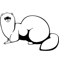 Siberian weasel Kolonok vector image