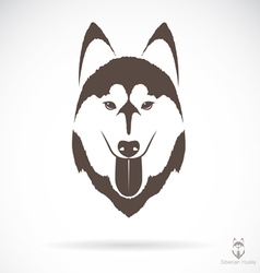 Siberian Husky vector image
