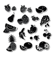 Retro fruit set vector image