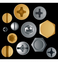 Screw heads vector image