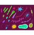 Bacteria and viruses vector image