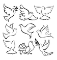 Abstract dove set vector image