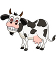 Funny cow cartoon vector image