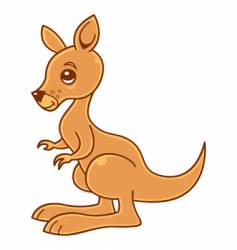 Baby kangaroo vector image
