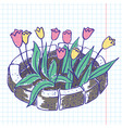 Tulips vector image