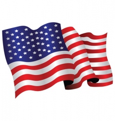 American flag vector image