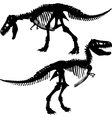 T rex skeleton vector image
