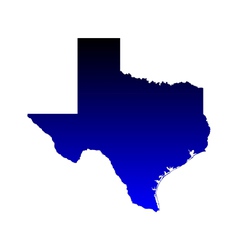 Map of Texas vector image