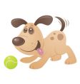 Playful puppy vector image