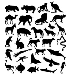 Animals vector image