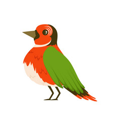 Colorful bird Colorful bird vector image