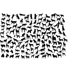 Dog silhouettes vector image