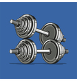 Dumbbell vector image