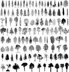Tree silhouettes vector image