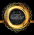 Golden circle vector image