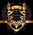 Golden frame vector image