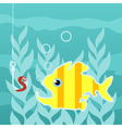 Predatory fish vector image