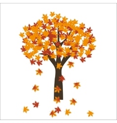 Autumn maple tree leaves on bright background EPS Autumn maple tree leaves on bright background EPS vector image