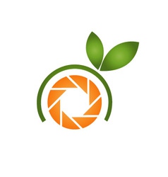 Photography logo with orange aperture and leaves vector image