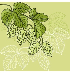 Hop Ornament On Green Grunge Background vector image