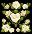 White rose design elements vector image