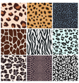 Animal skin seamless pattern vector image