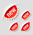 New labels vector image