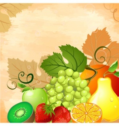 Fruit still life vector image