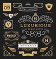 Set of retro vintage graphic design elements vector image