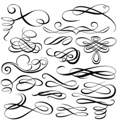 Calligraphic elements vector image