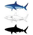 Sharks vector image