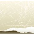 Background texture vector image