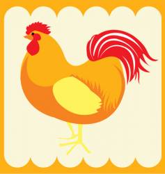 Chicken vector image