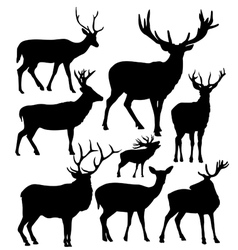 Deer silhouettes Deer silhouettes vector image