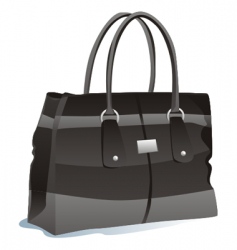 Travel bag vector image