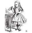 Drink me Alice vector image