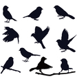 Bird silhouettes vector image