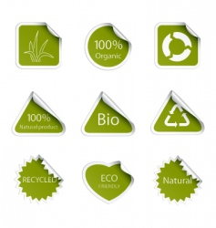 Eco tags vector image