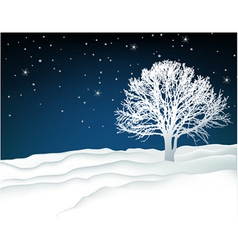 Winter lonely tree vector image