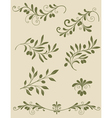 Olive decorative vector image