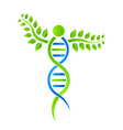 DNA Plant vector image