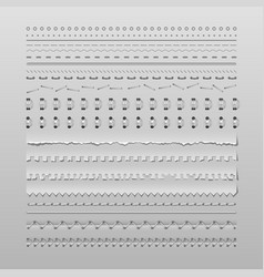 Stitches and dividers vector image