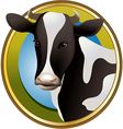 Farm cow vector image