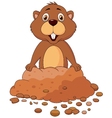 Cute groundhog cartoon vector image