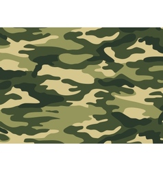 Camouflage vector image