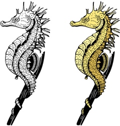 Seahorse vector image