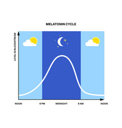 Sleep wake cycle Royalty Free Vector Image - VectorStock