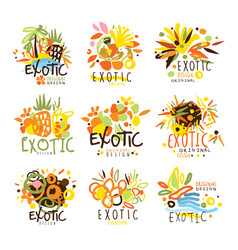 Exotic summer vacation colorful graphic design vector image