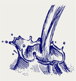 Splash of milk vector image